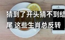 哪些生肖总是让人猜到头却猜不出结局，因其顽皮反转的特质而备受关注？