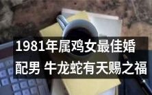1981年出生的鸡女宜婚配牛龙蛇，光彩照人的婚姻幸福及风水神秘之谜解密！