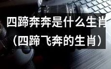 四蹄飞奔是哪个生肖？探索四蹄奔奔的神秘动物标志！