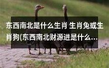 什么生肖属于东西南北财源进，是生肖兔还是生肖狗？