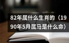 1990年5月出生的人属于哪个生肖，如果是82年出生的话应该是什么生肖？