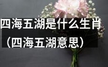 哪些属相与“四海五湖”的意义相符合？