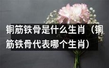 铜筋铁骨指代着哪些生肖？