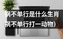 哪个生肖被称为“祸不单行”？