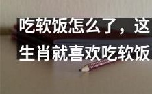 这十二生肖中的一个就是喜欢吃软饭的，有何不可？