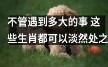 无论面临何种困境，这些生肖总能从容应对，化解烦恼