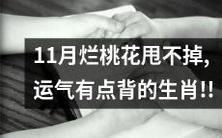 十一月桃花不济，运势衰落，最衰生肖排行榜