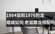 老鼠与龙的婚姻：揭秘1984年的鼠与1976年的龙搭配之路，探讨老鼠和龙是否有天生相宜的配对之妙？