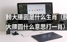 请问哪个生肖的特征是膀大腰圆？