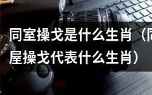 “同屋操戈”现象所对应的生肖类型是什么？