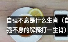 谁是具有自强不息属性的生肖？