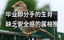 属猴的毕业生肖，因缺乏安全感而分手