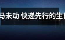 十二生肖之中，快递业成为最活跃行业：兵马未动，快递先行