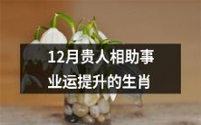 12月有贵人相助，将推升事业运的生肖们
