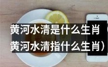 哪个生肖代表黄河水清？