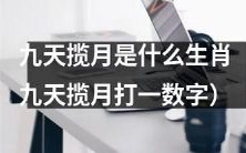 请问属相为九天揽月的生肖是哪个？