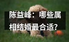 陈益峰探讨：根据星座属相的匹配程度，哪些属相在结婚时更为理想和匹配？