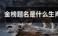 什么生肖能够成为金榜题名的幸运之兽？