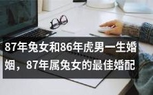 如何选择婚姻对象：探讨87年属兔女和86年属虎男的最佳婚配方案