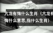 揭秘亢龙有悔的寓意，有哪些生肖与之相关