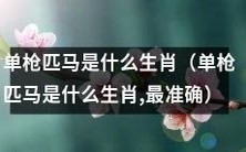 单枪匹马是哪个属相的象征？