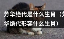 请问，哪种生肖被形容为芳华绝代？