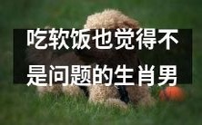 有着不愁吃穿且品质生活从不妥协的富裕生肖男性