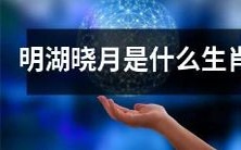 请问根据十二生肖排列顺序，明湖晓月属于哪一个生肖？