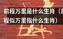 前程似万里所指代的生肖是什么？