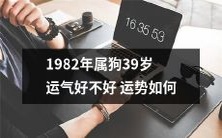 1982年出生的属狗人，即将迈入39岁，运势如何，究竟是喜是忧？