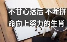 属相：不满足于落后，一直拼搏向上的勤劳动物