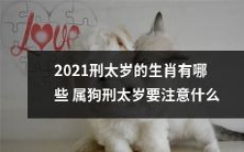 2021年哪些生肖属狗会遭受刑太岁的影响？属狗人士应当注意哪些事项？
