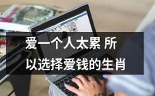 面对恋爱的种种烦恼，为何不把心思花在财富上——论如何选择成为一个选择以金钱为依归的生肖，因为爱一个人实在是太累了！