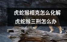 如何化解虎、蛇、猴之间的相克关系及应对三刑的教程？
