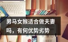 男马女猴是否适合成为夫妻，探究其优缺点，做出明智选择