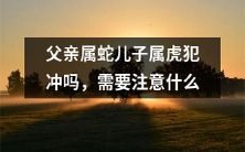 父属蛇儿属虎生肖犯冲问题：如何避免此情况及其可能带来的影响及后果？