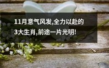 三个充满决心和精神的生肖迎来了充满希望的11月，他们面对未来充满热情，尽全力前进！