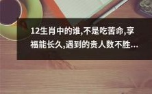 遇到诸多贵人，享受幸福长久——揭秘哪位生肖并非只有吃苦命？