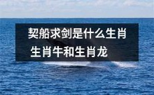 生肖牛和生肖龙：了解契船求剑这一刺激传统文化活动的性质与意义