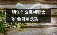 2022年哪些生肖将遭受太岁之厄：兔、鼠、鸡、龙、马等属相会迎来祸星？