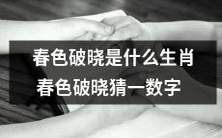 猜测生肖：春天的色彩在晓光中逐渐显现，能否猜到正确数字？