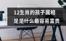哪个生肖在12生肖中的孩子属相会更容易达到财富和成功呢？