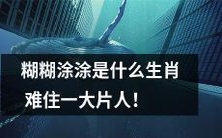 “糊糊涂涂”这个词究竟是哪个生肖让人困惑？
