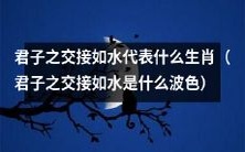 什么生肖象征君子之交接如水的波色？