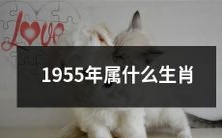 根据中国农历，1955年的人属于哪个生肖？