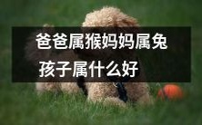 父母生肖分别属猴和兔，您的孩子最理想的属相是什么？