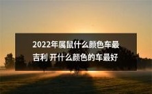 属鼠2022年驾车宜忌详解：何种颜色汽车最吉利？哪种车色最佳驾驶？
