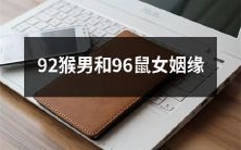 从破镜重圆到天长地久：探究92猴男和96鼠女不可思议的命运共同体及其异常坚定的姻缘关系