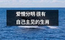 以爱憎明显和独具主见为特征的生肖迎接新时代
