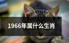 在中国的传统历法中，1966年出生的人属于哪个生肖？